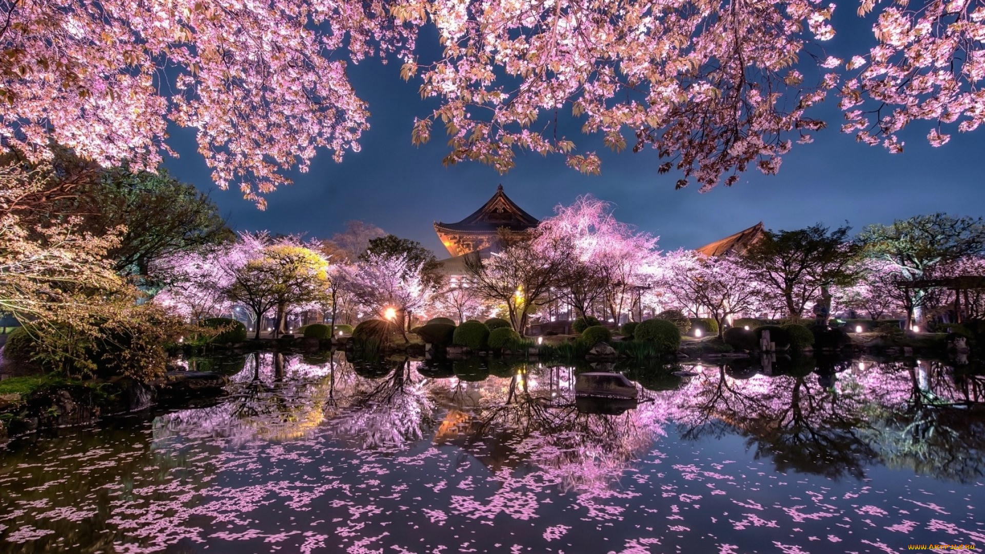 природа, парк, японский, сад, весна.